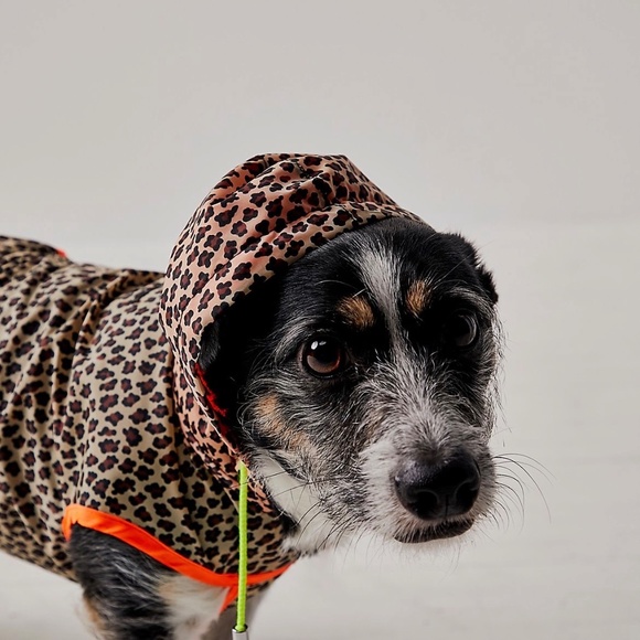 Leopard Print Dog Raincoat w/ Hood “Ware of the Dog” - Picture 4 of 13